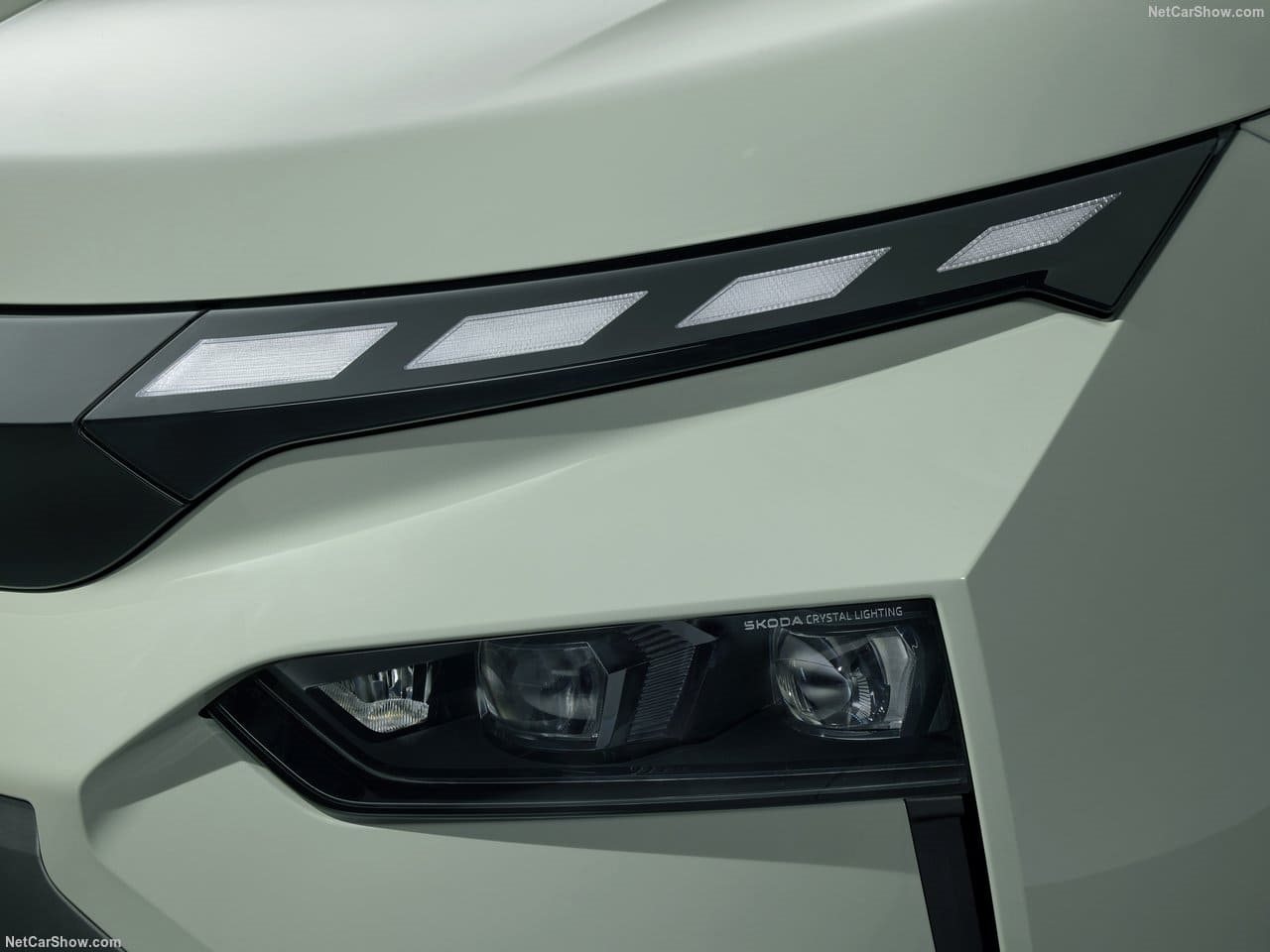 SKODA ELROQ, foto 173