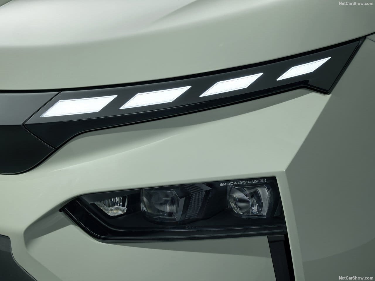 SKODA ELROQ, foto 174