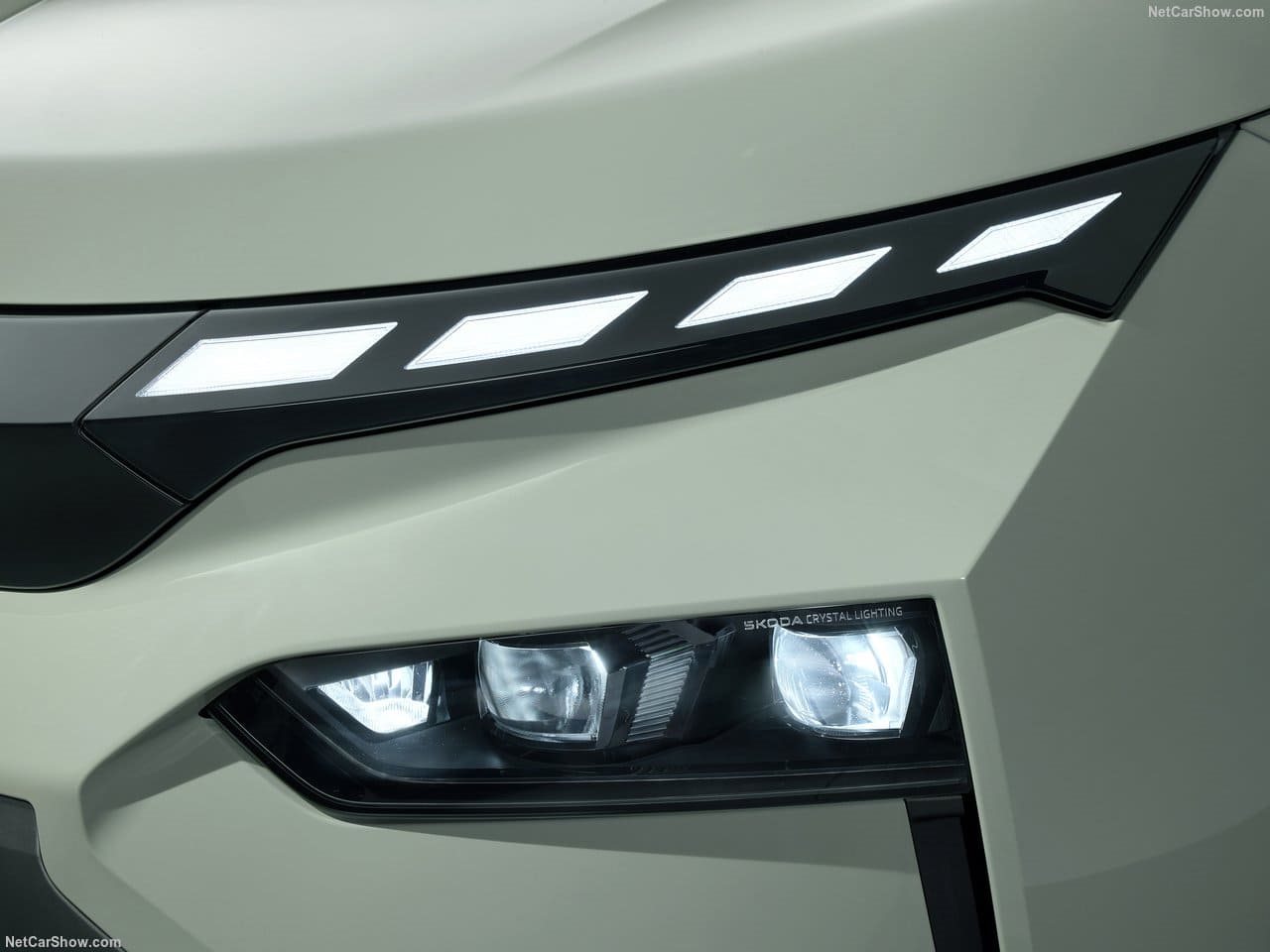 SKODA ELROQ, foto 177
