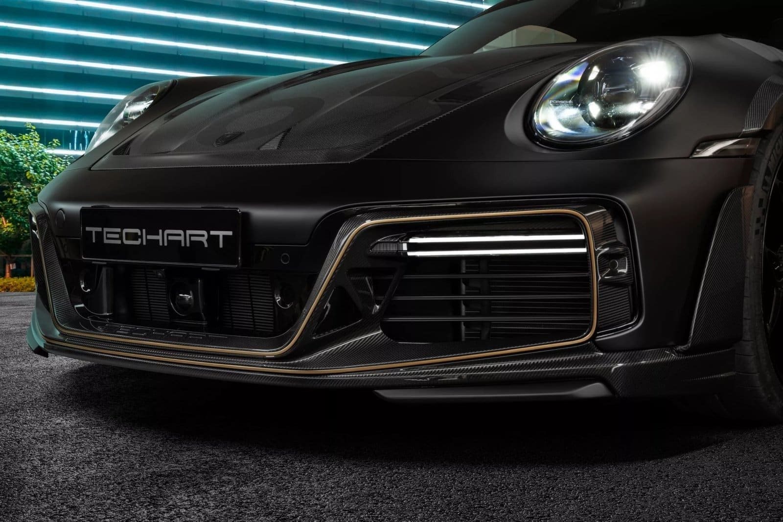 PORSCHE 911 TURBO S TECHART MONOCHROME, foto 17