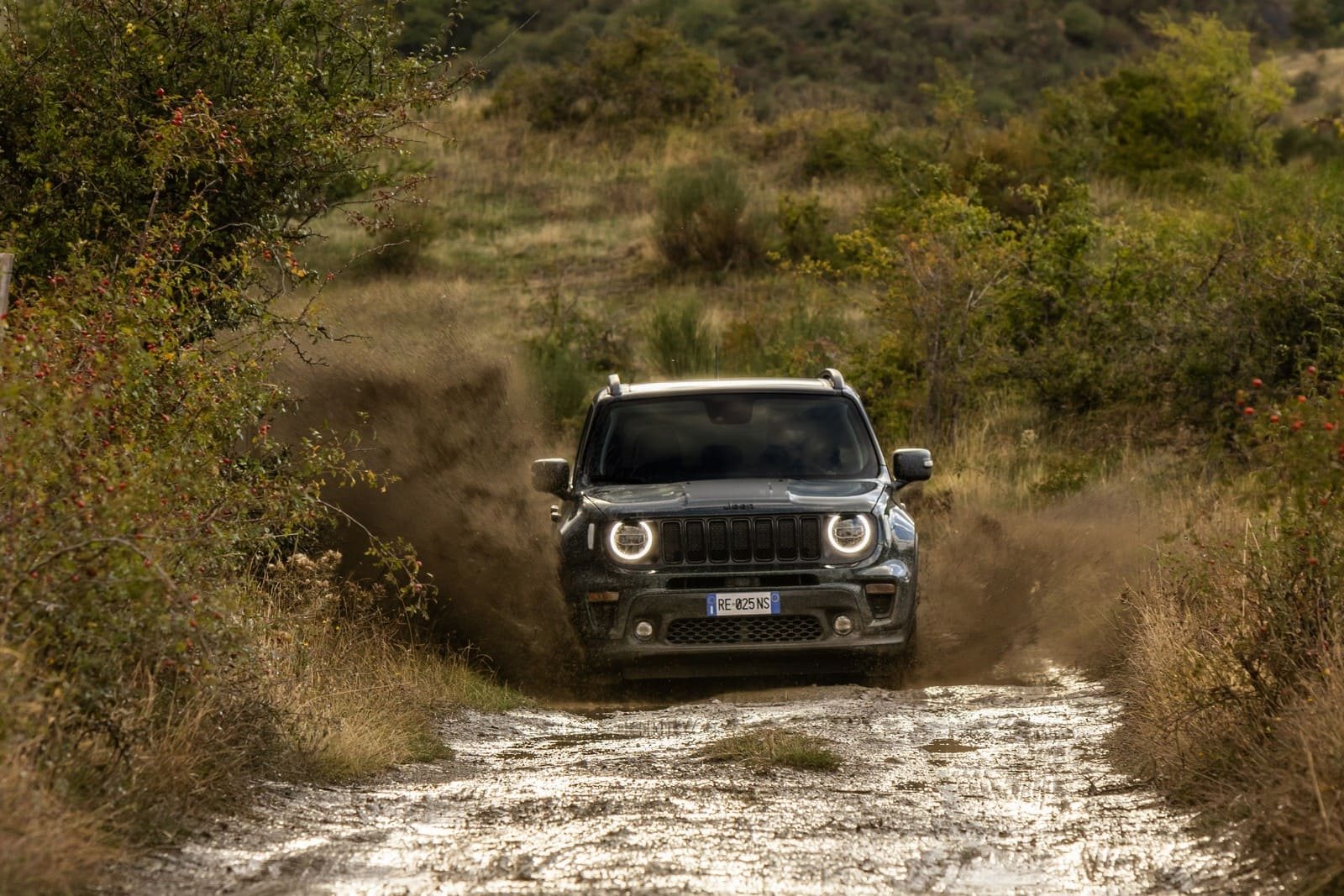2024 - JEEP COMPASS & RENEGADE NORTH STAR EDITION, foto 15