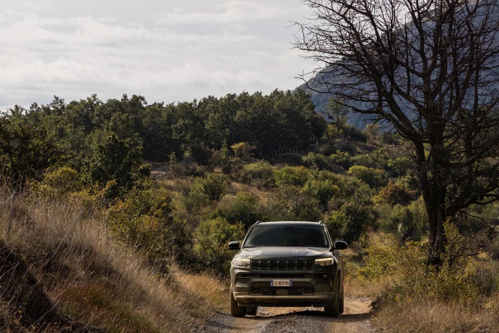 2024 - JEEP COMPASS & RENEGADE NORTH STAR EDITION, foto 17