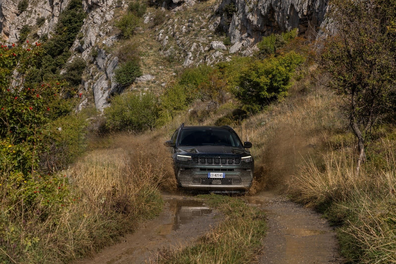 2024 - JEEP COMPASS & RENEGADE NORTH STAR EDITION, foto 18