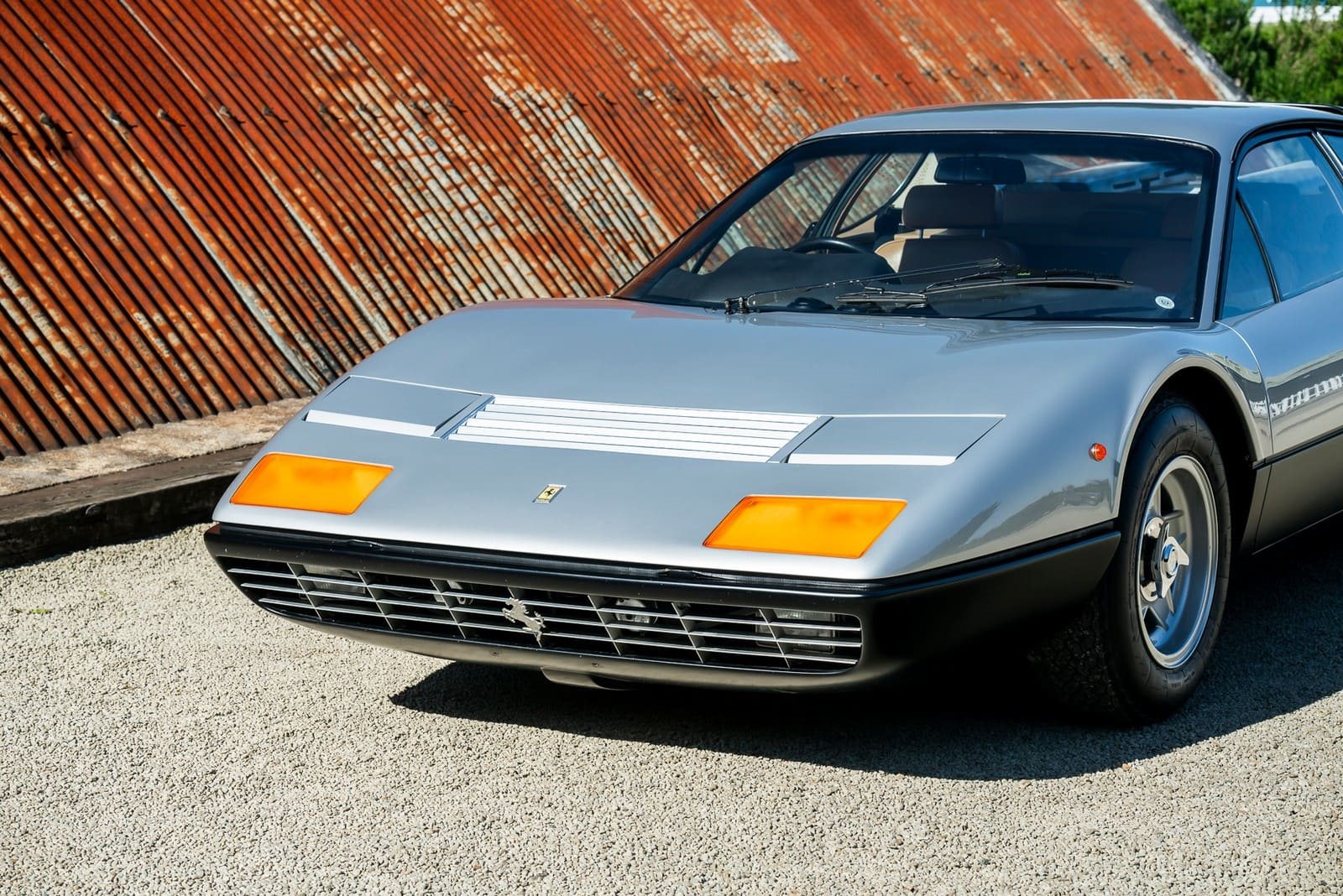1974 - FERRARI F365 GT4/BB ARGENTO METALLIZZATO, foto 12