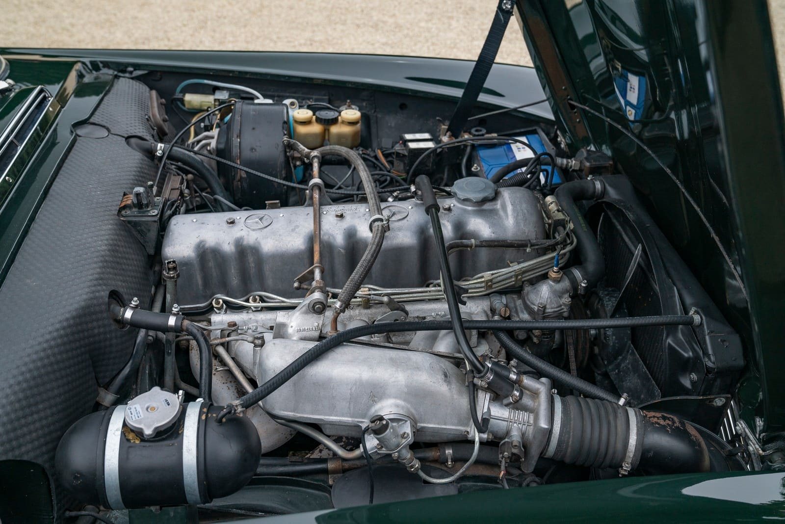 1970 - MERCEDES-BENZ 280 SL DARK OLIVE GREEN, foto 44
