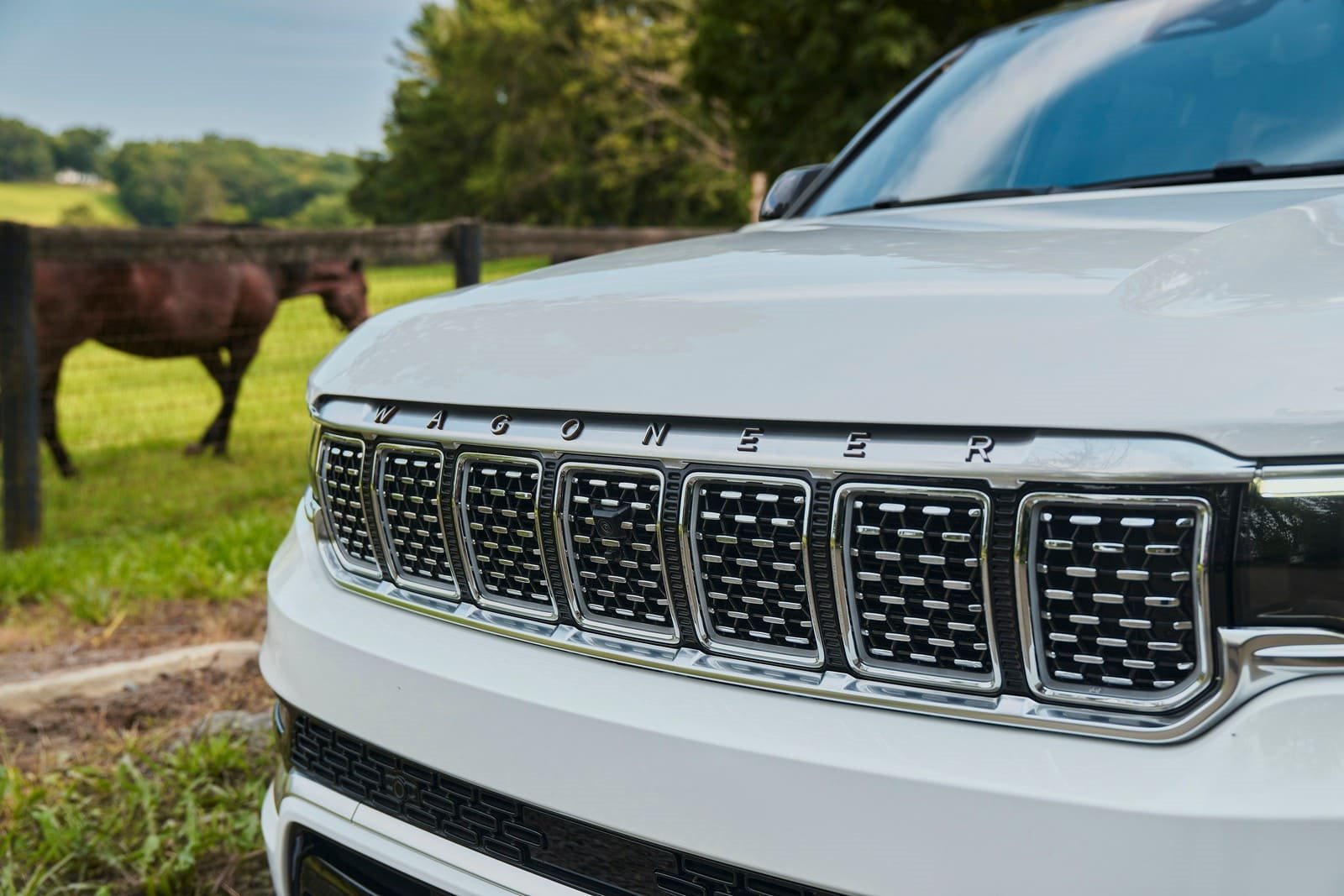 JEEP GRAND WAGONEER, foto 3
