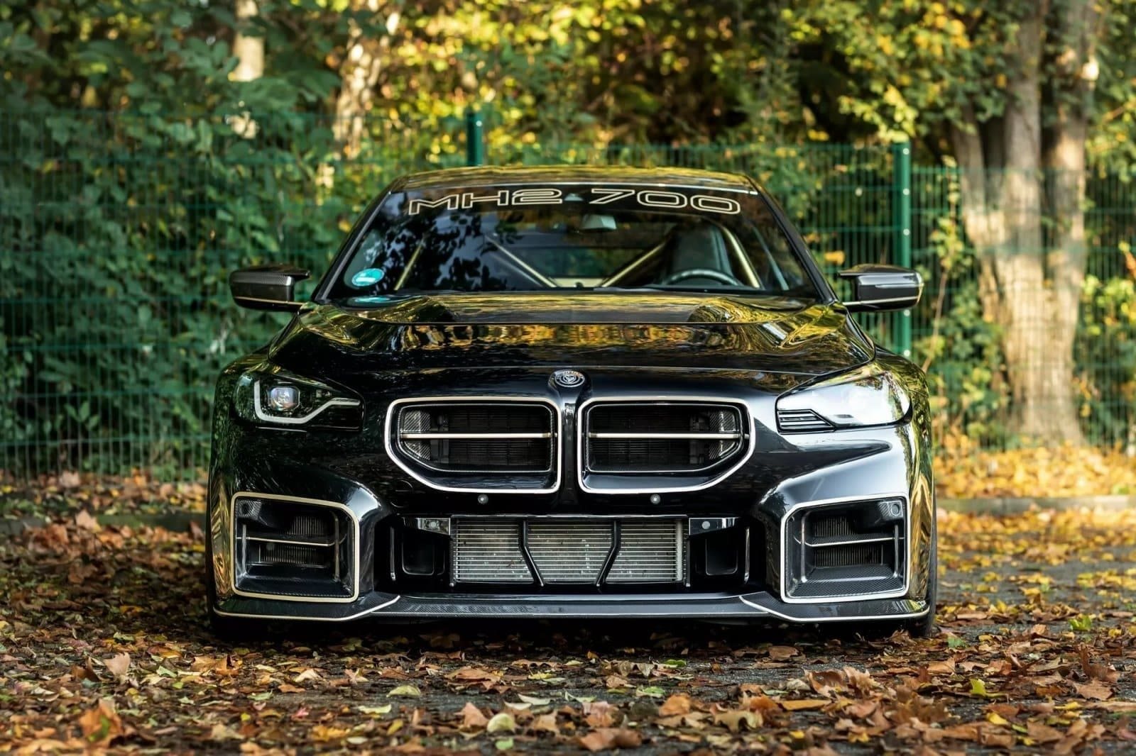 BMW M2 COUPE MH2 700 BY MANHART, foto 3