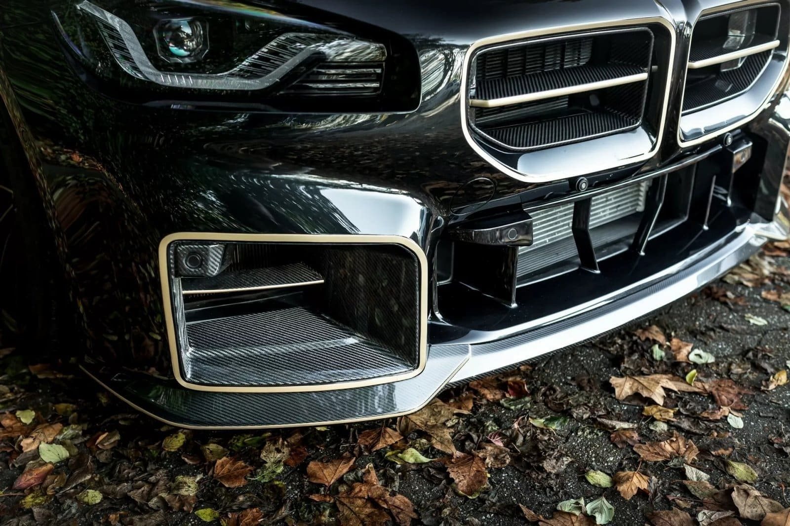 BMW M2 COUPE MH2 700 BY MANHART, foto 8