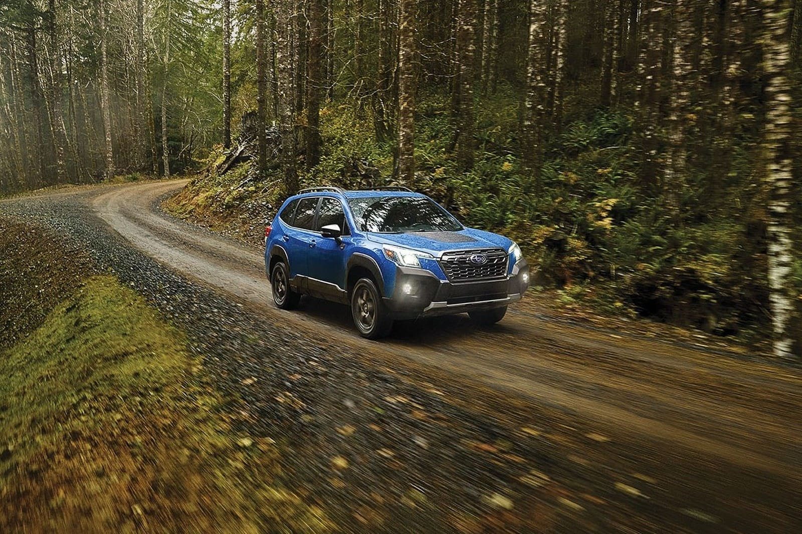 2025 - SUBARU FORESTER WILDERNESS, foto 1