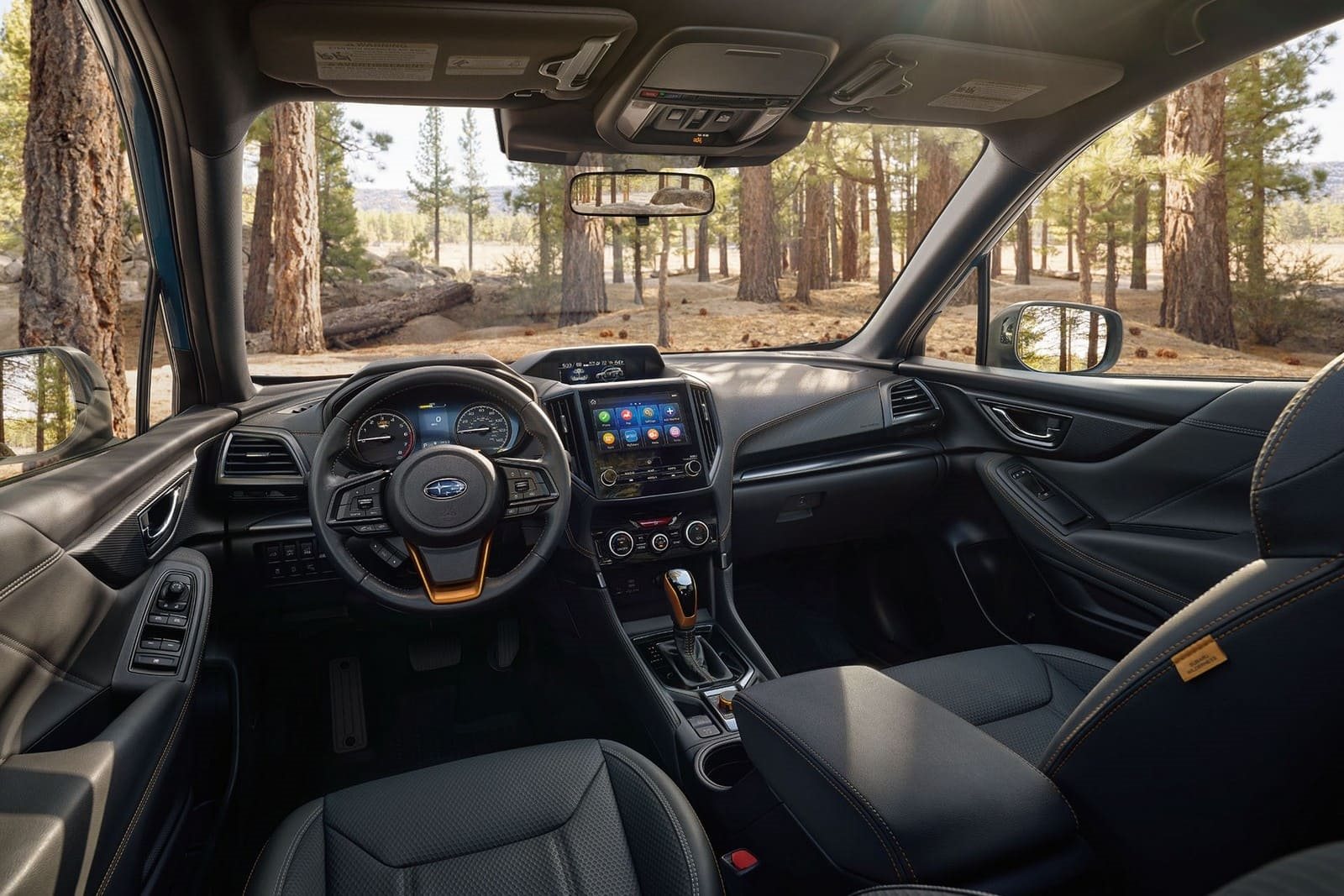 2025 - SUBARU FORESTER WILDERNESS, foto 2