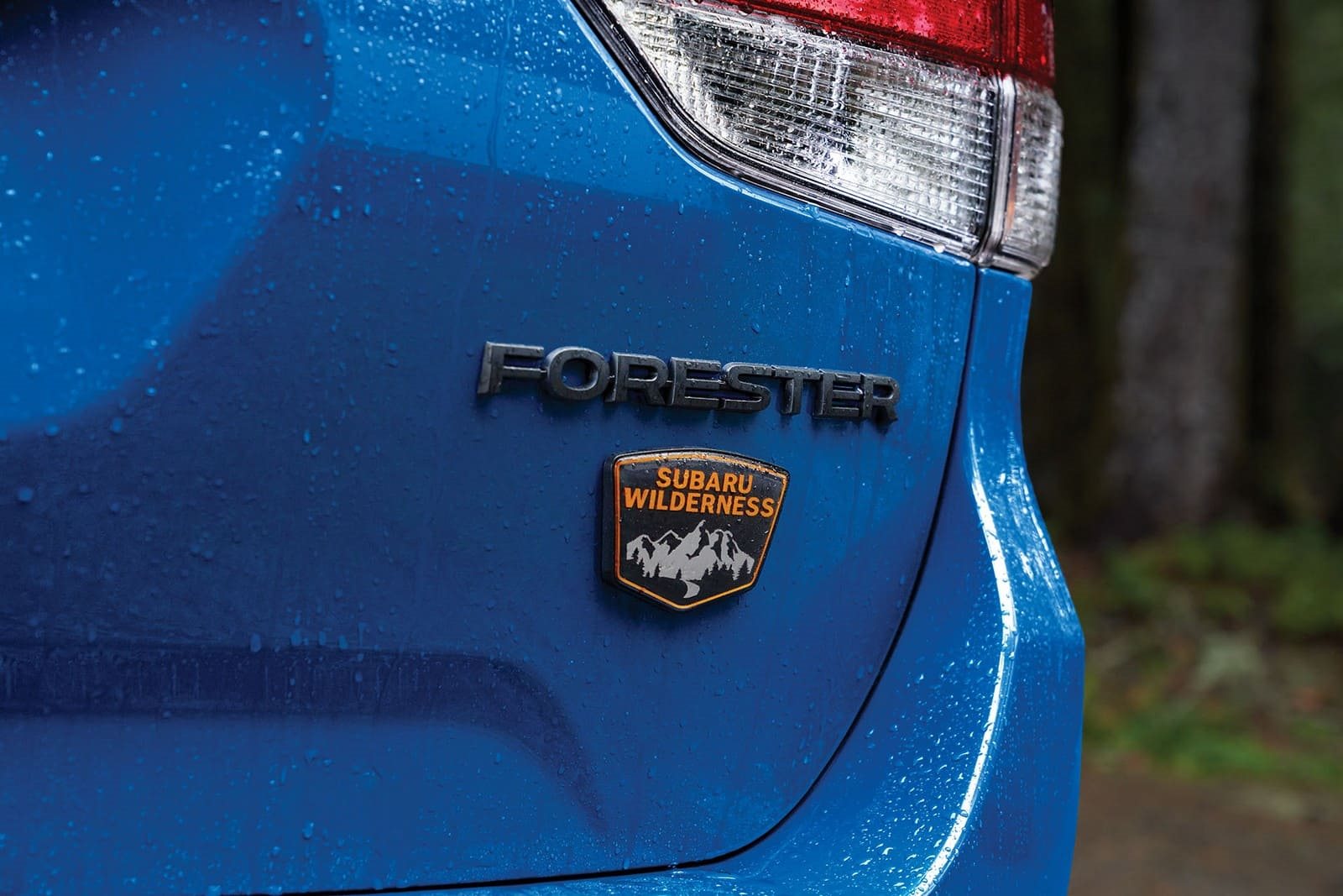 2025 - SUBARU FORESTER WILDERNESS, foto 3