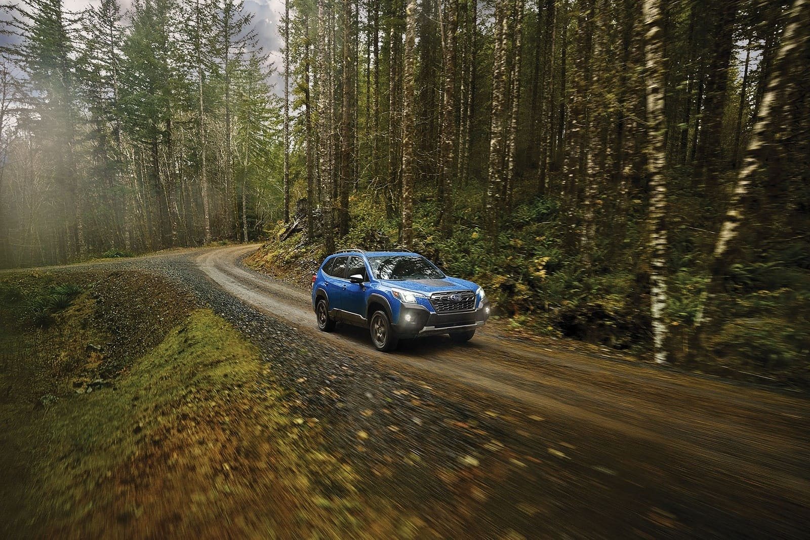 2025 - SUBARU FORESTER WILDERNESS, foto 4