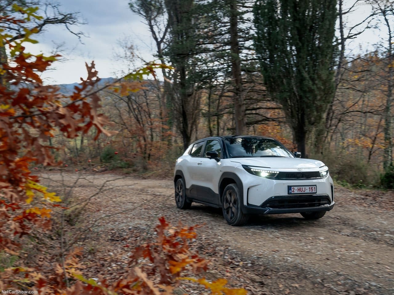 2026 - TOYOTA URBAN CRUISER, foto 28