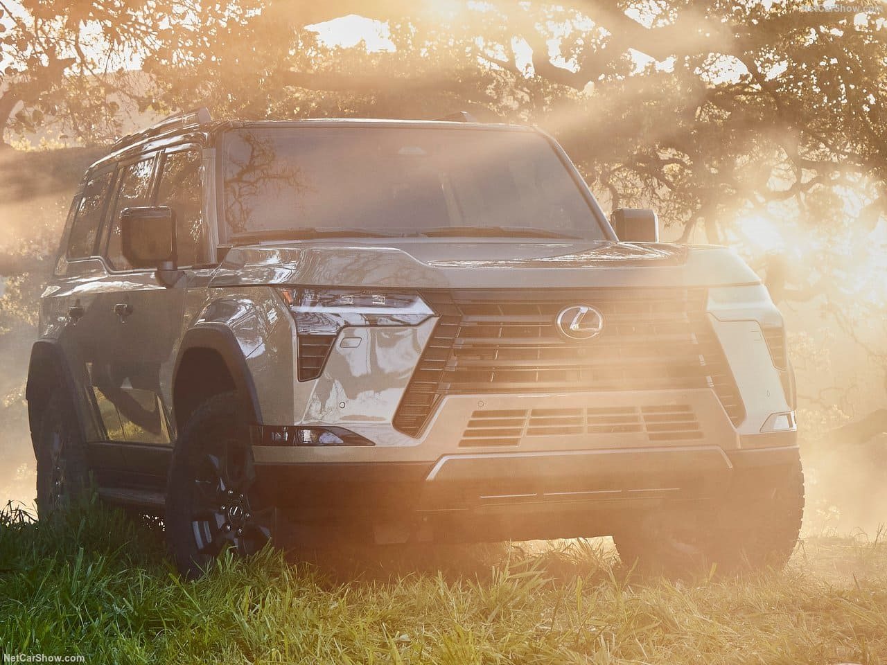 LEXUS GX, foto 19