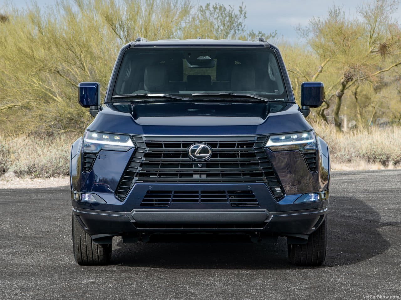 LEXUS GX, foto 94