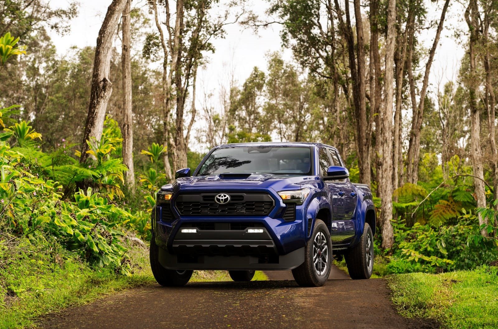 TOYOTA TACOMA, foto 26