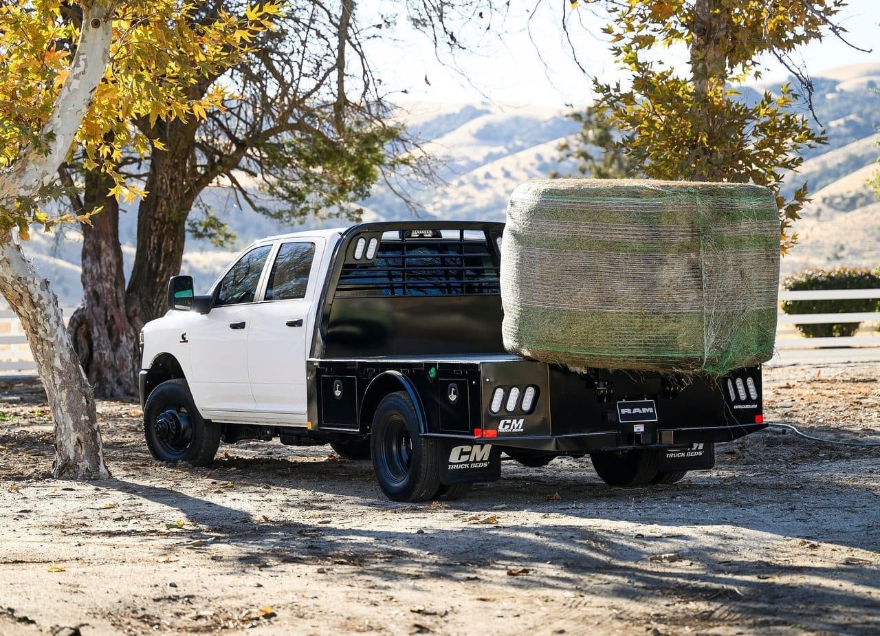 RAM CHASSIS CAB, foto 5