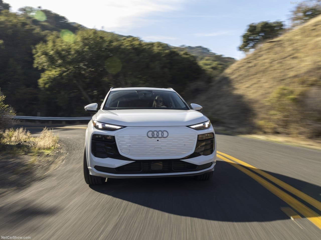 AUDI Q6 E-TRON US VERSION, foto 66