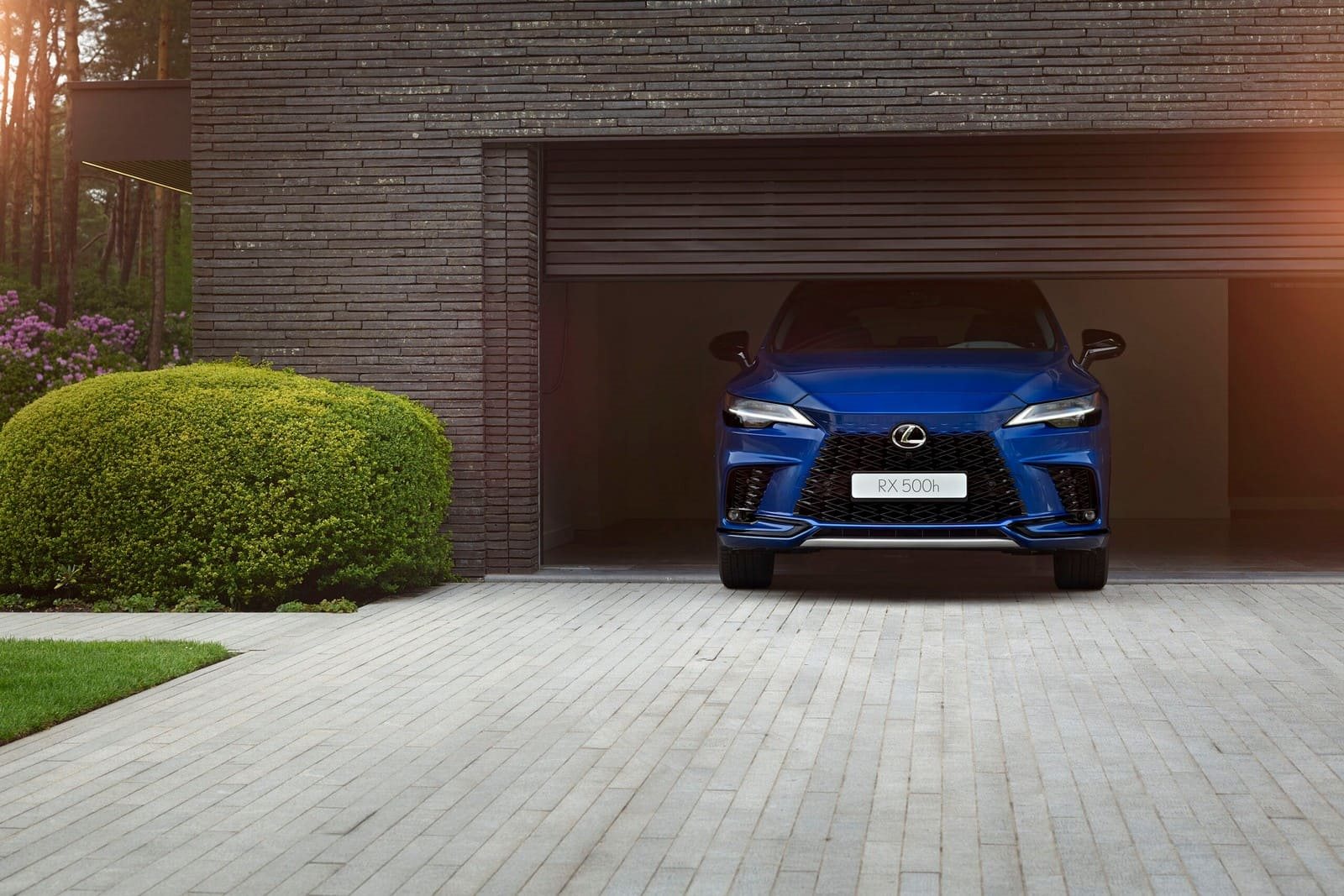 2025 - LEXUS RX, foto 2
