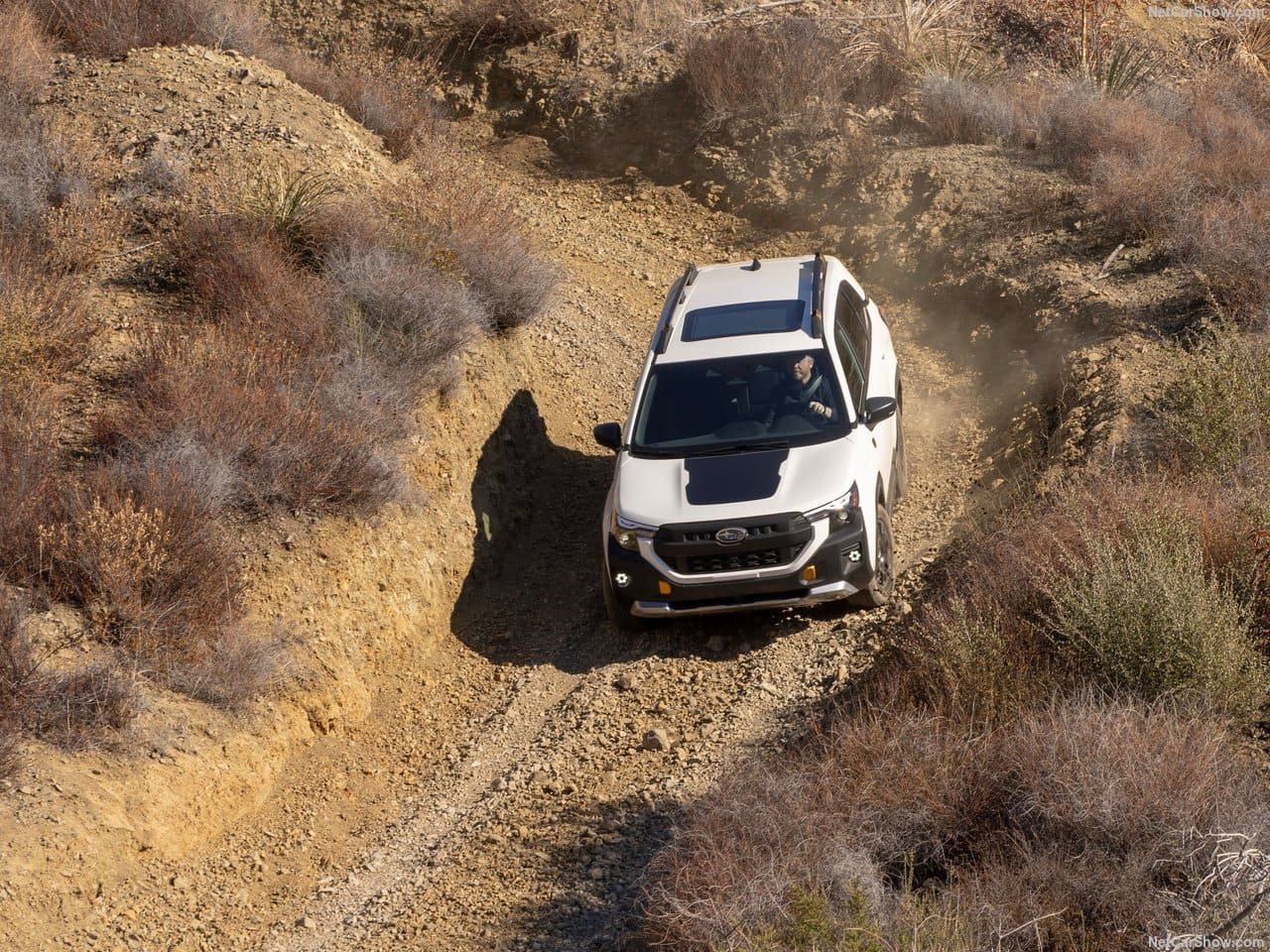 2026 - SUBARU FORESTER WILDERNESS, foto 8