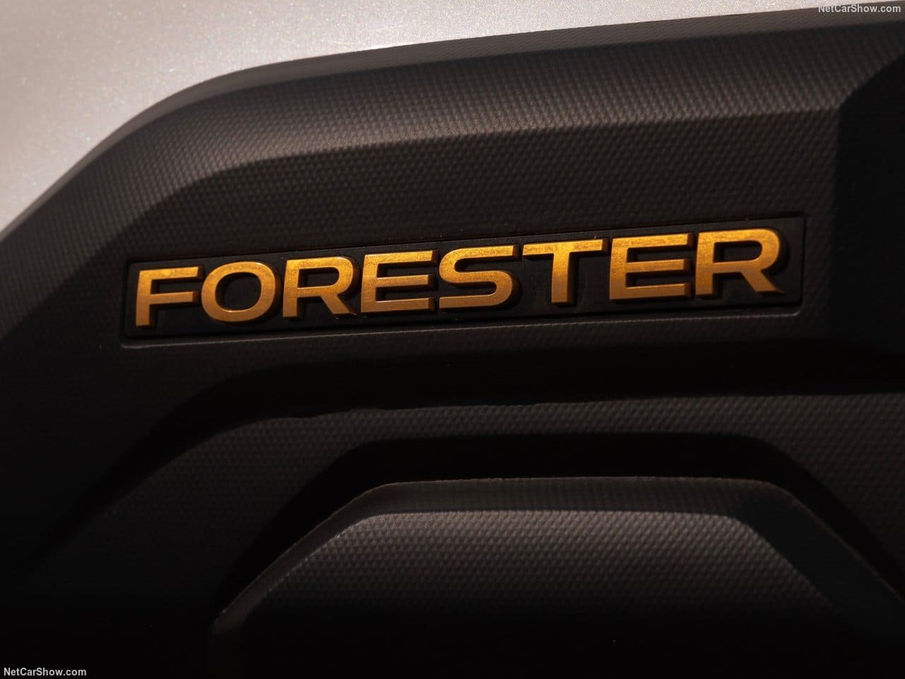 2026 - SUBARU FORESTER WILDERNESS, foto 45