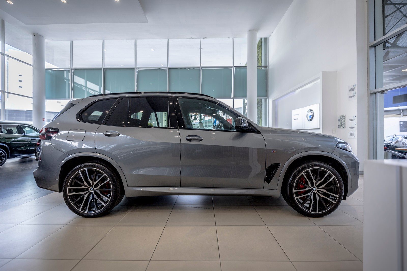 BMW X5 xDRIVE40i 30 YEARS EDITION, foto 3