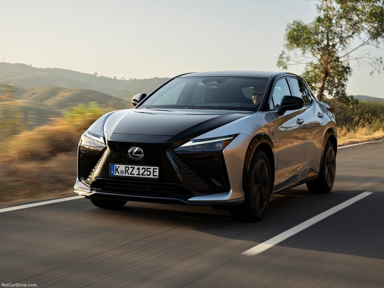 LEXUS RZ, foto 11