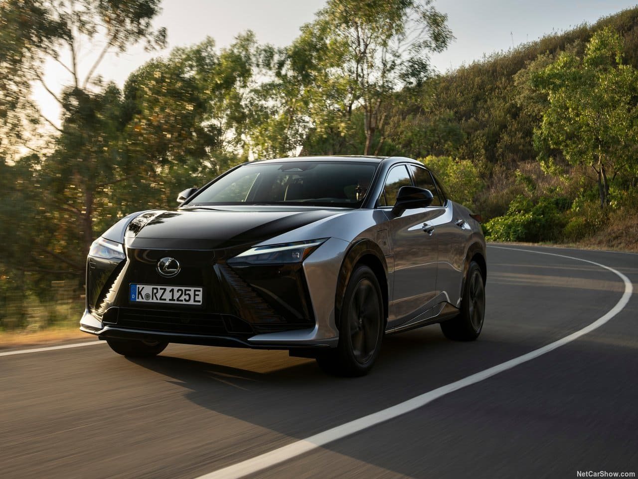 LEXUS RZ, foto 12
