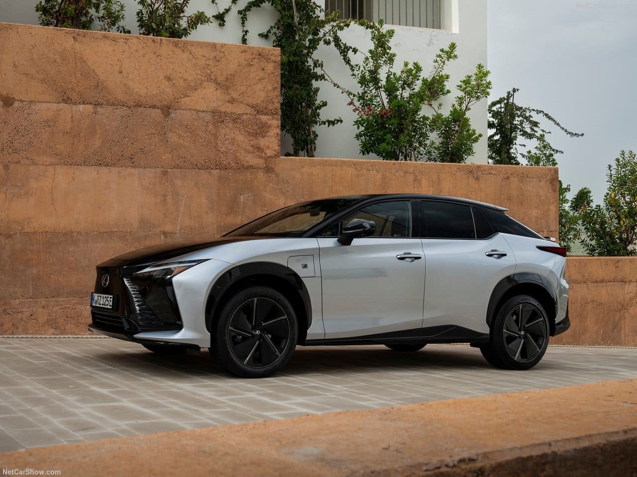 LEXUS RZ, foto 32