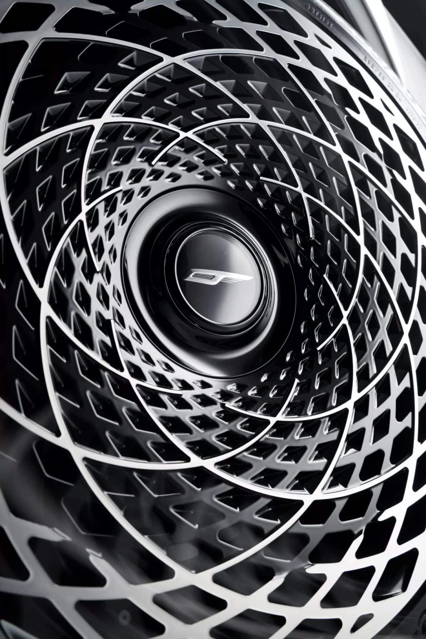 2025 - RANGE ROVER BY OVERFINCH, foto 13