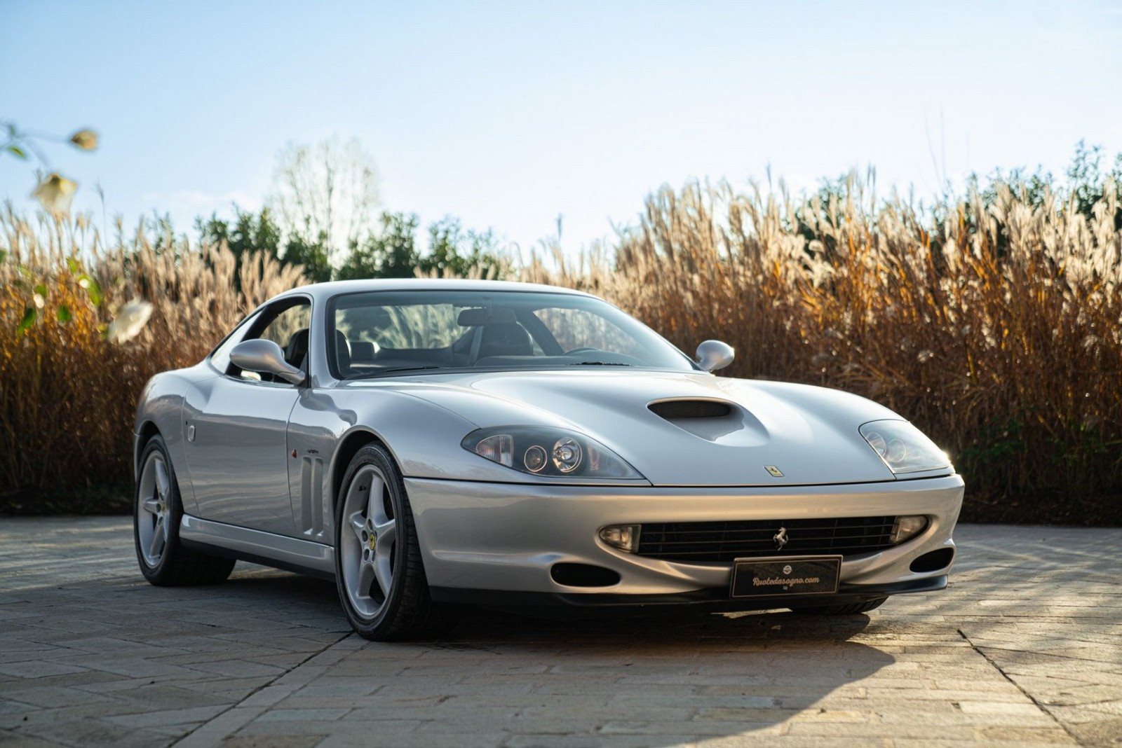 2001 - FERRARI F550 MARANELLO ARGENTO NÜRBURGRING, foto 9