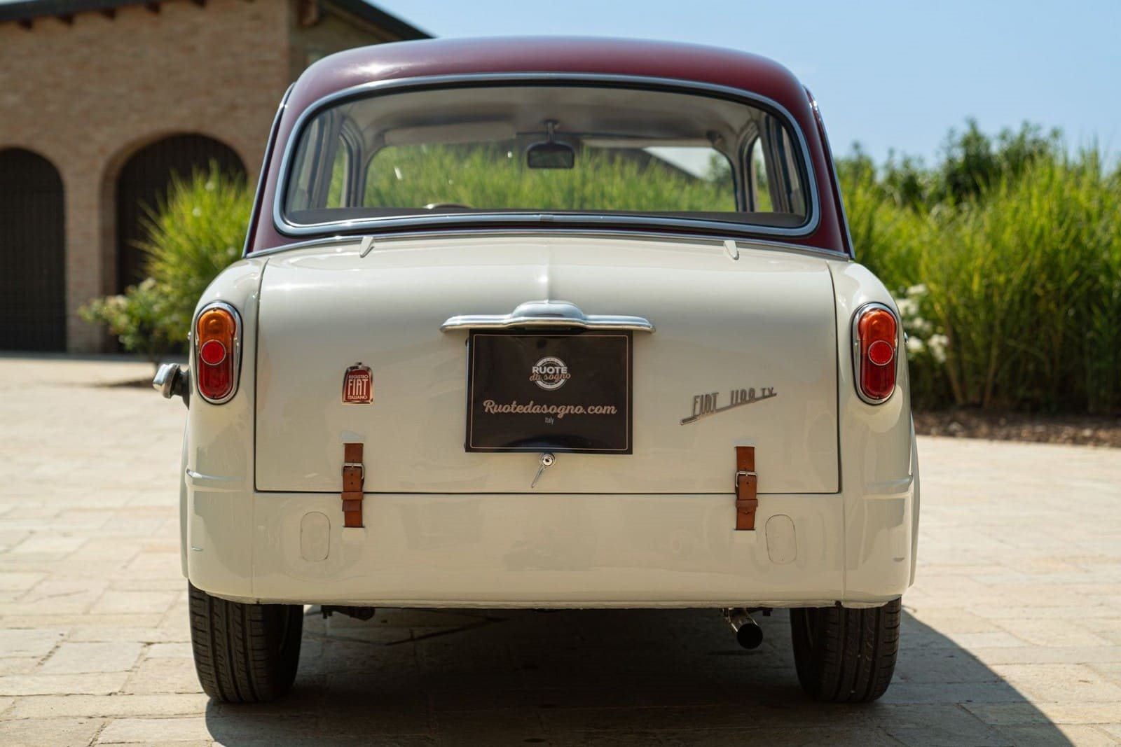 1954 - FIAT 1100 TV BIANCO, foto 9