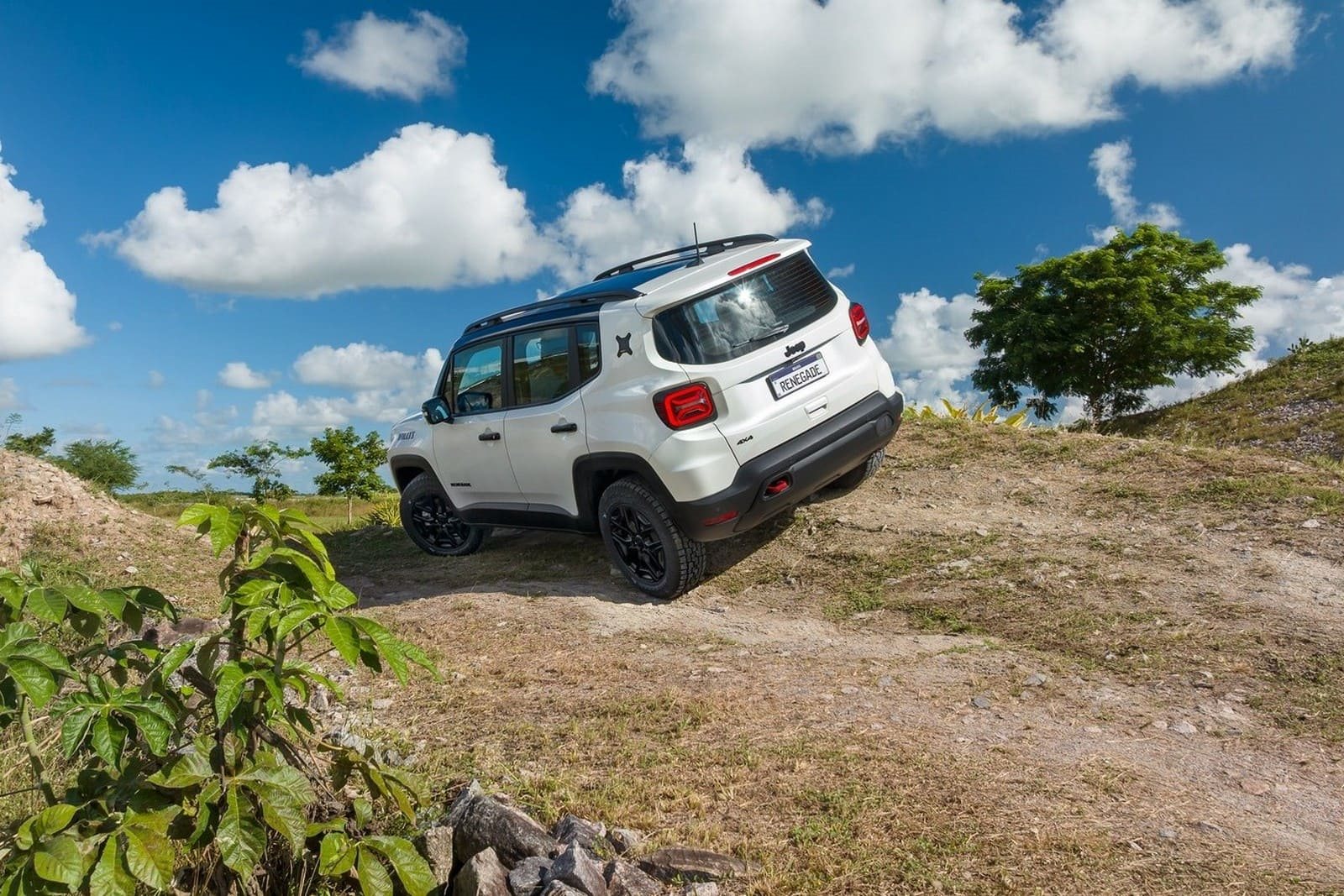 2025 - JEEP RENEGADE SE 10 ANOS, foto 20
