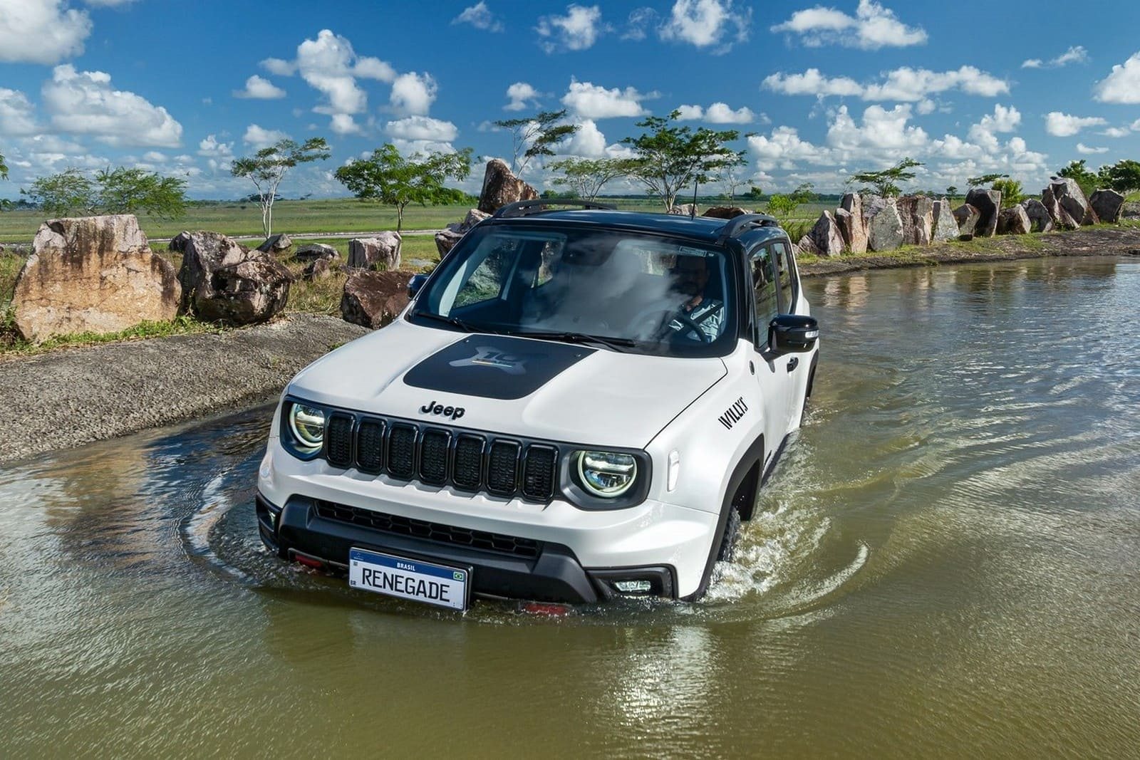 2025 - JEEP RENEGADE SE 10 ANOS, foto 28