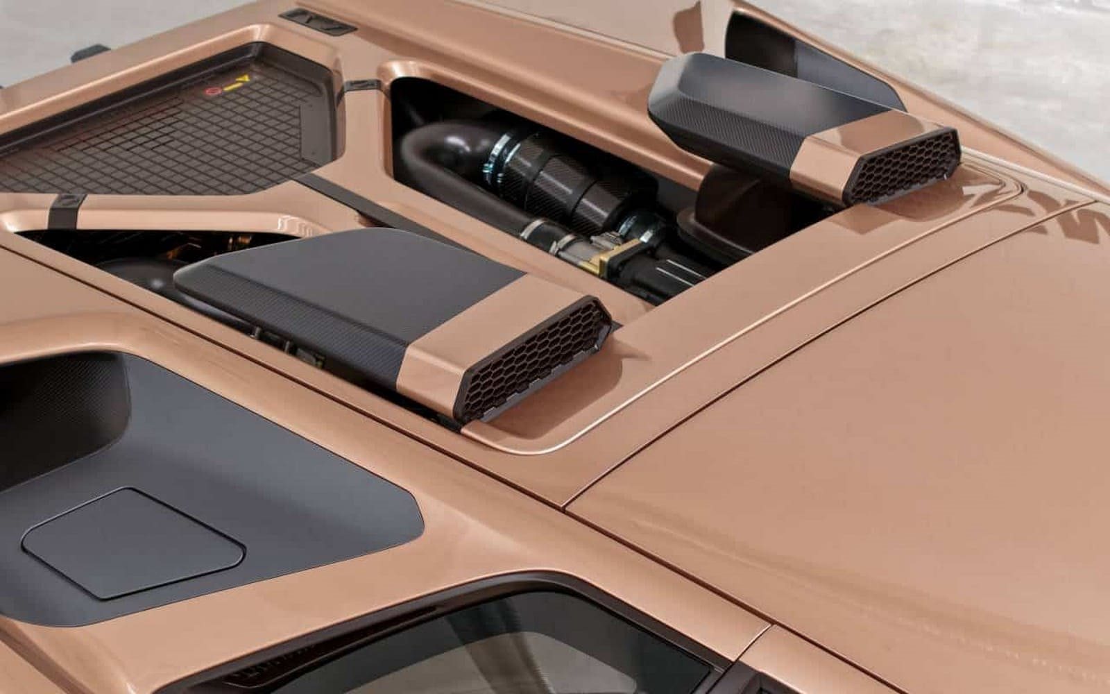 2025 - ECCENTRICA V12 ‘ROSE PHOENIX’, foto 7