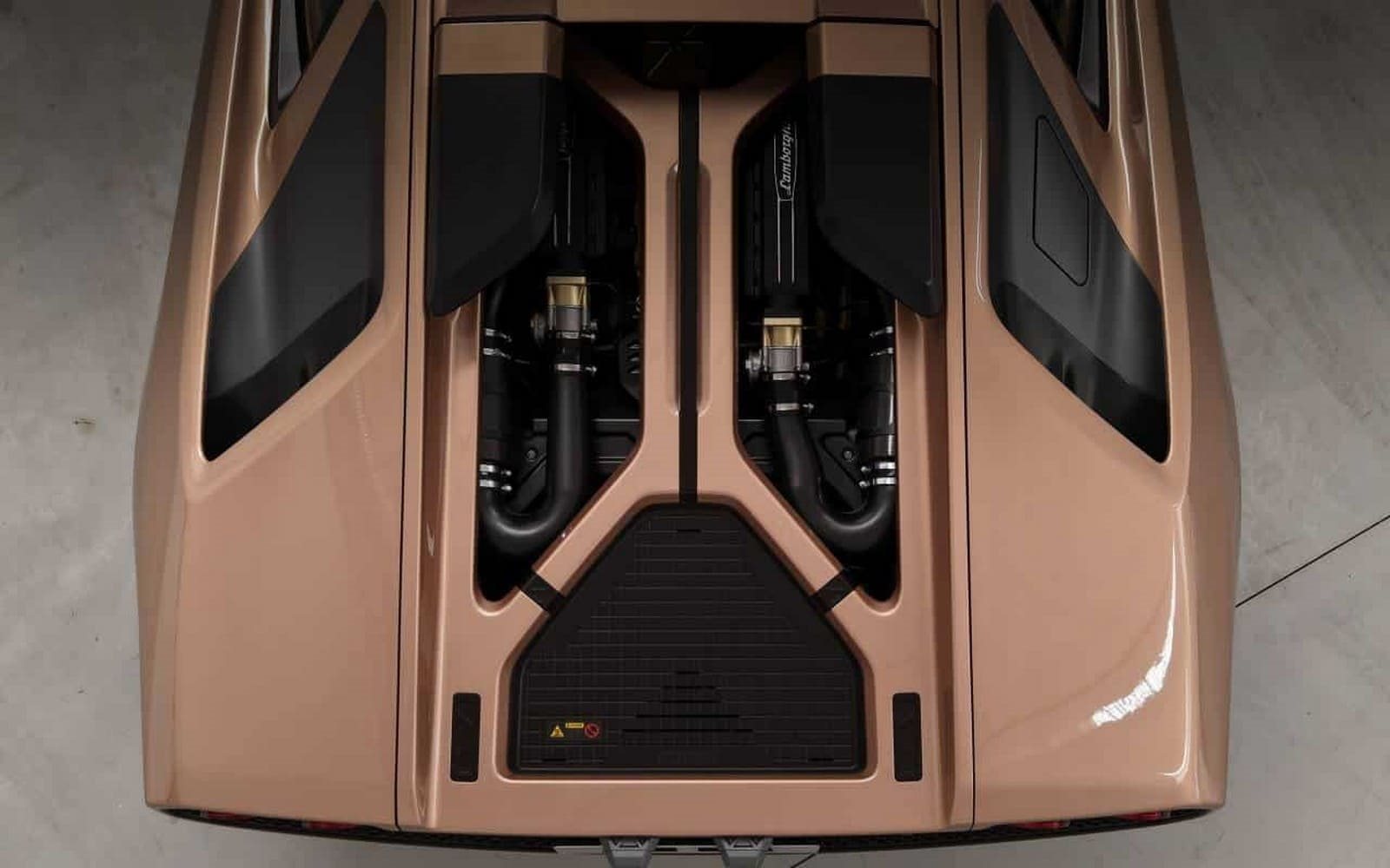2025 - ECCENTRICA V12 ‘ROSE PHOENIX’, foto 9