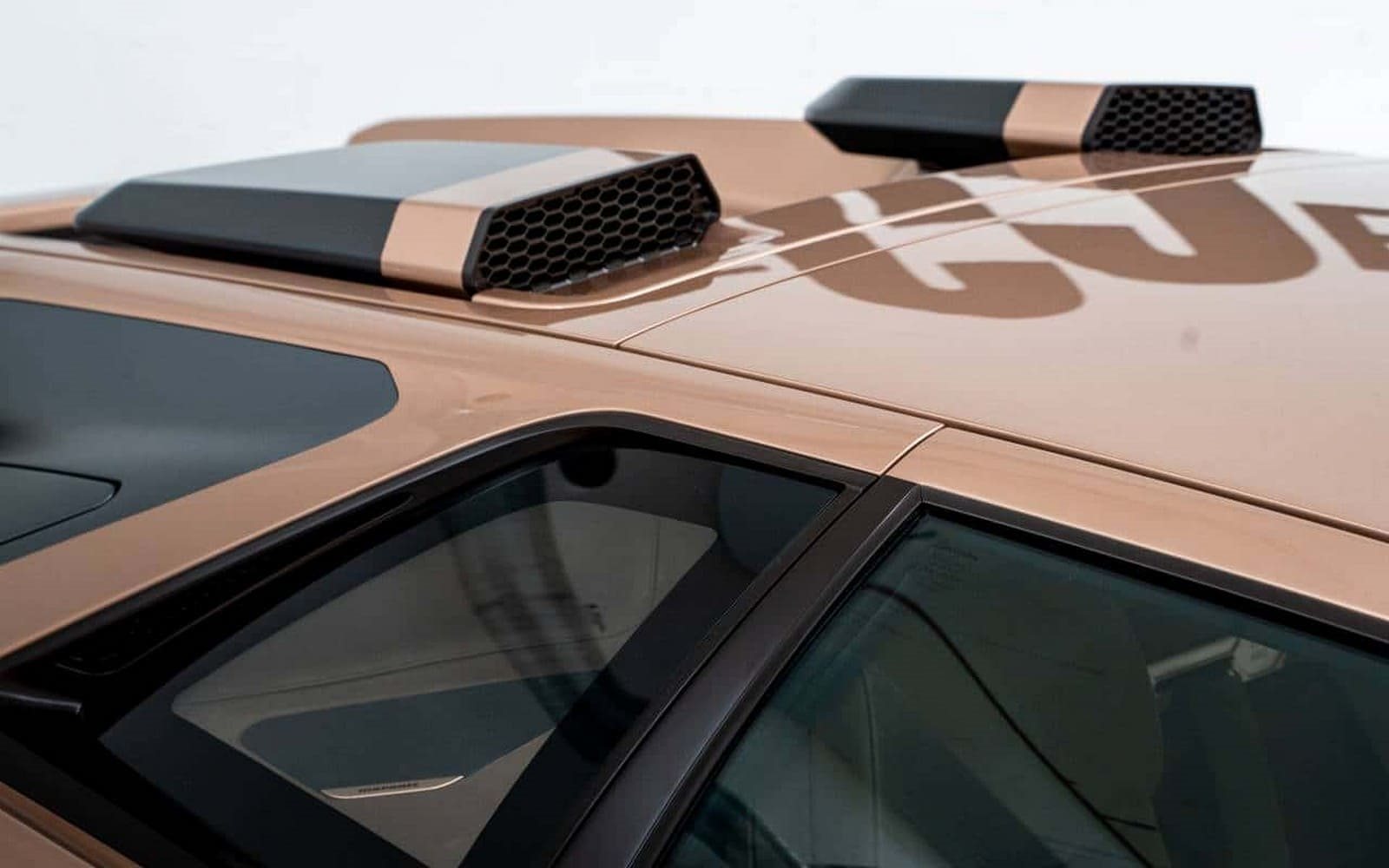 2025 - ECCENTRICA V12 ‘ROSE PHOENIX’, foto 12