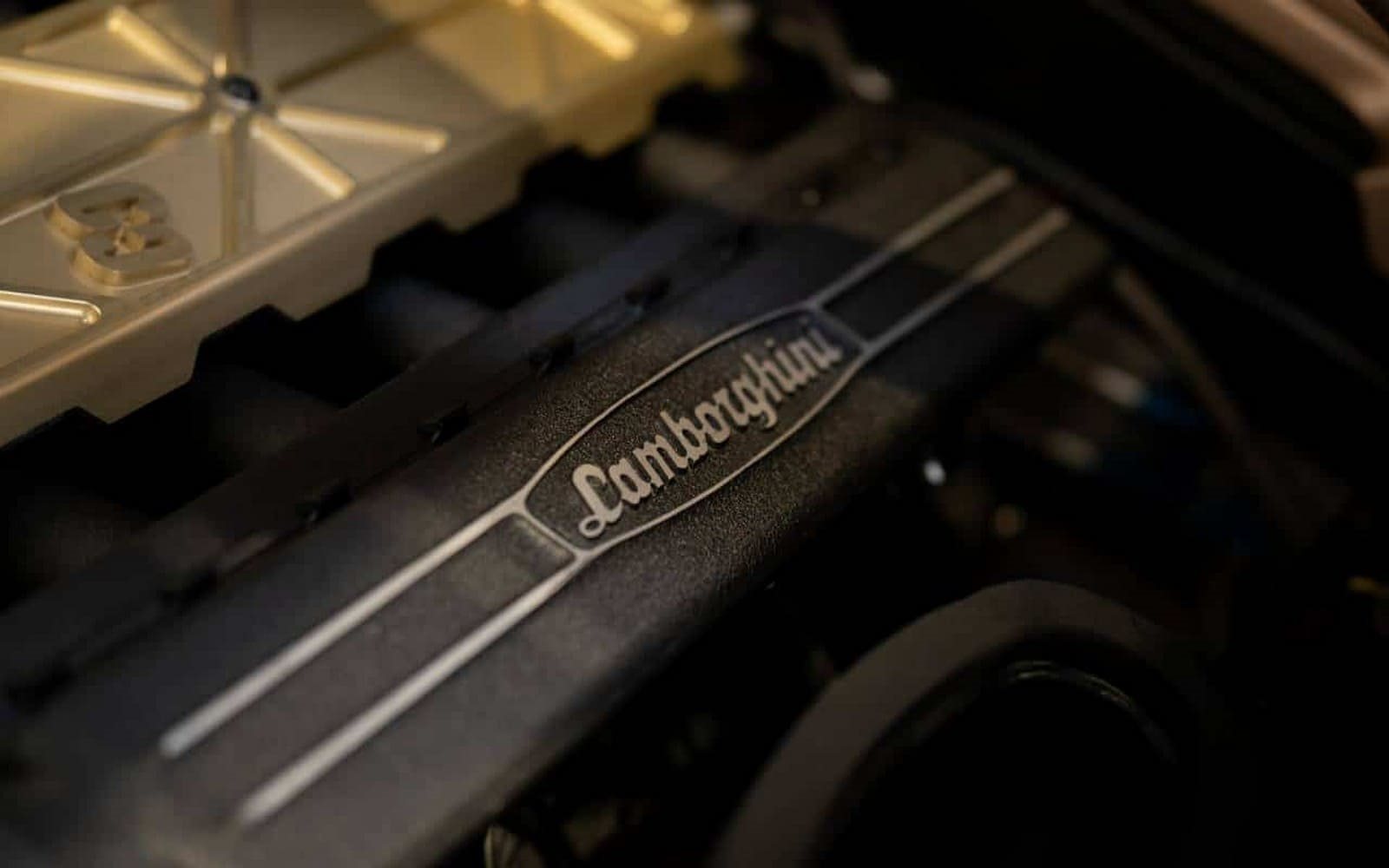 2025 - ECCENTRICA V12 ‘ROSE PHOENIX’, foto 25