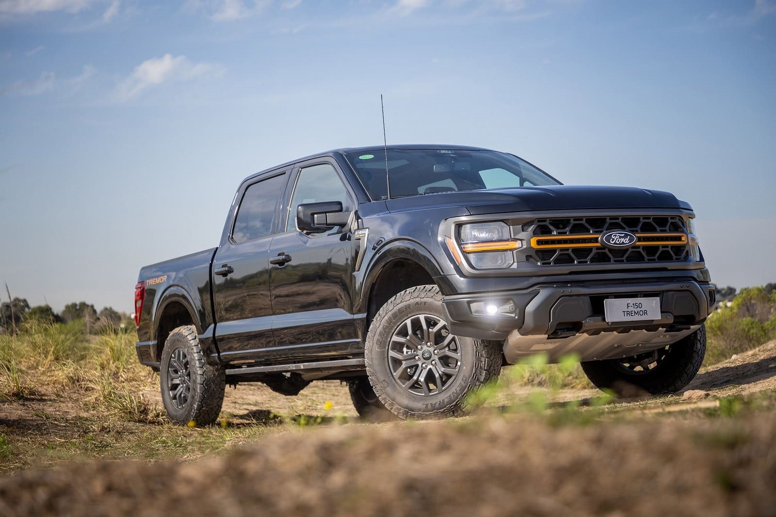 2025 - FORD F-150 TREMOR, foto 1