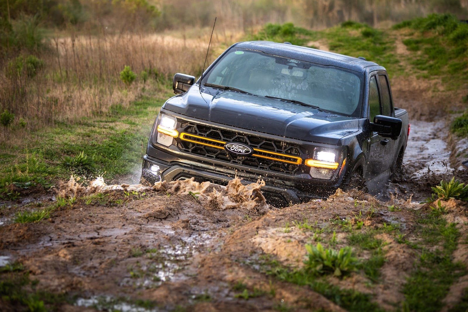 2025 - FORD F-150 TREMOR, foto 2