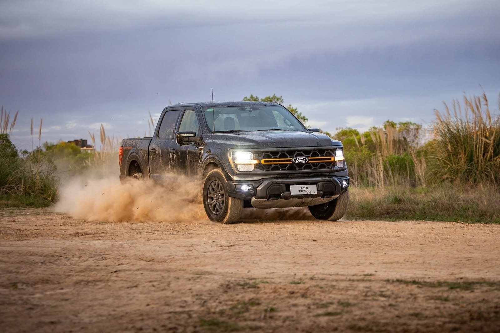 2025 - FORD F-150 TREMOR, foto 3