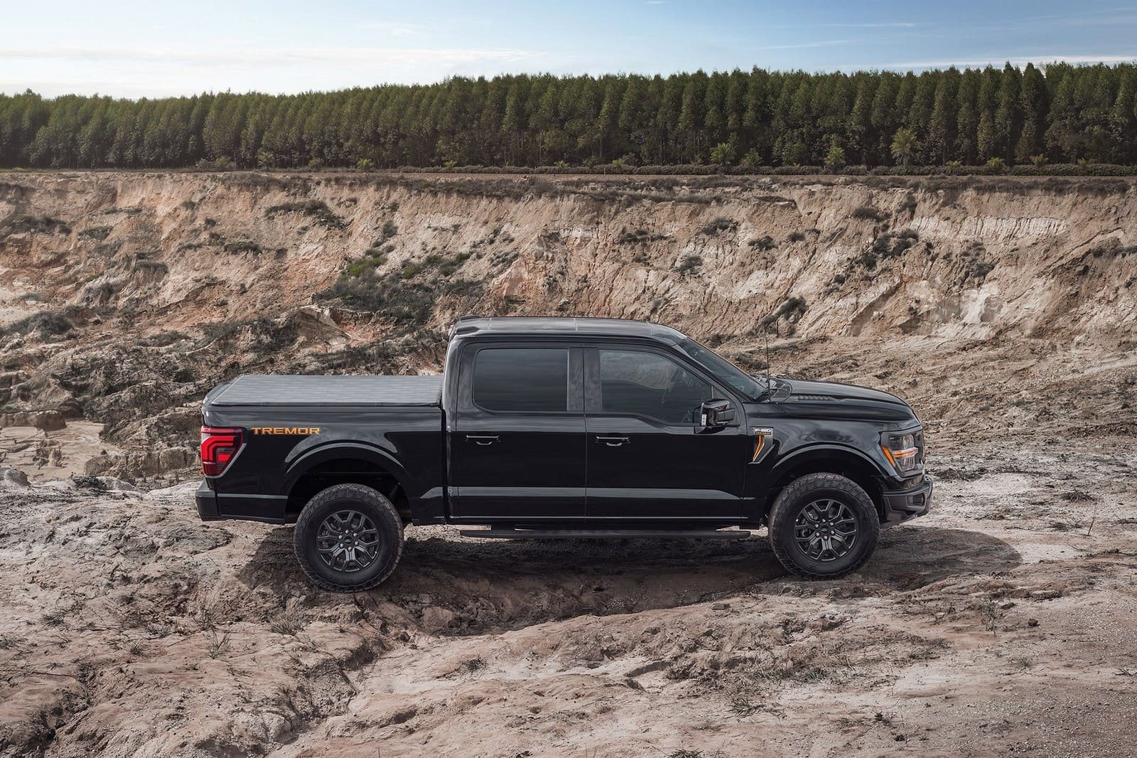 2025 - FORD F-150 TREMOR, foto 4
