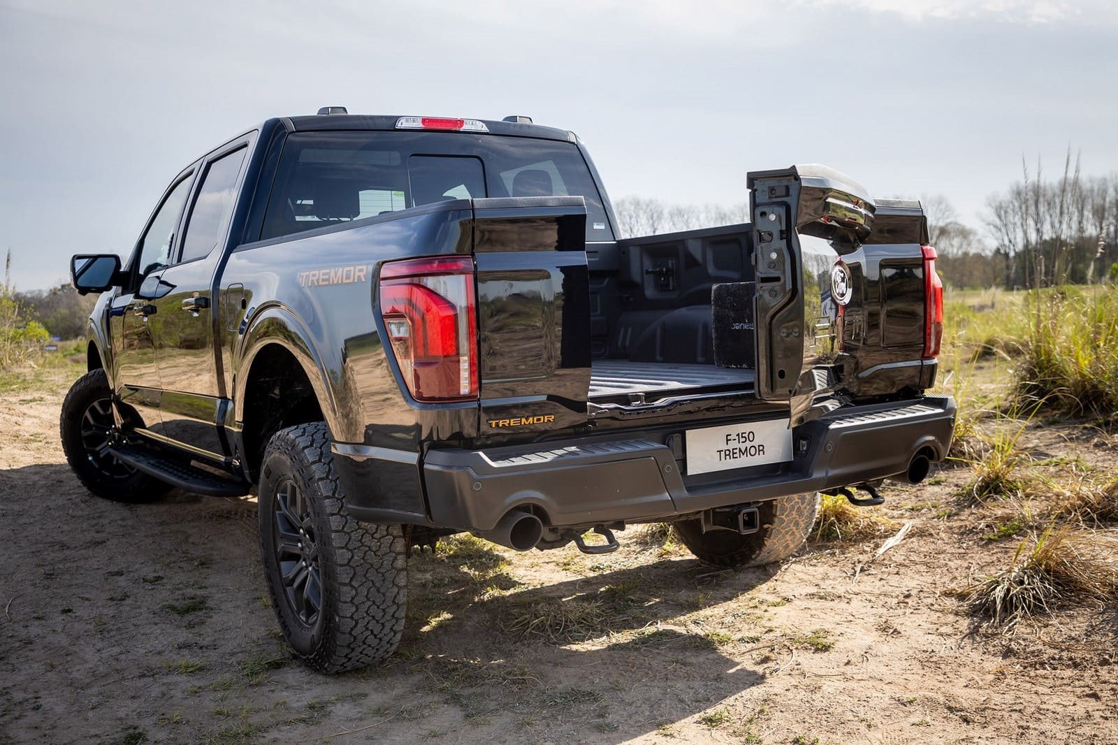 2025 - FORD F-150 TREMOR, foto 5