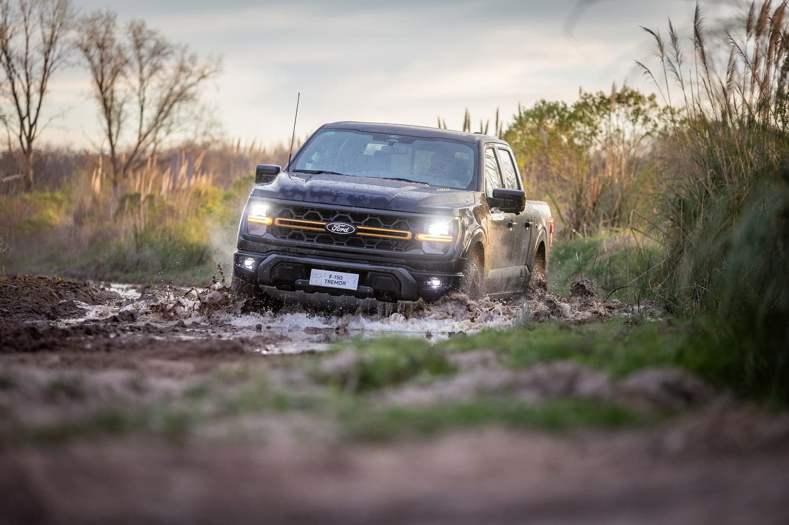 2025 - FORD F-150 TREMOR, foto 6