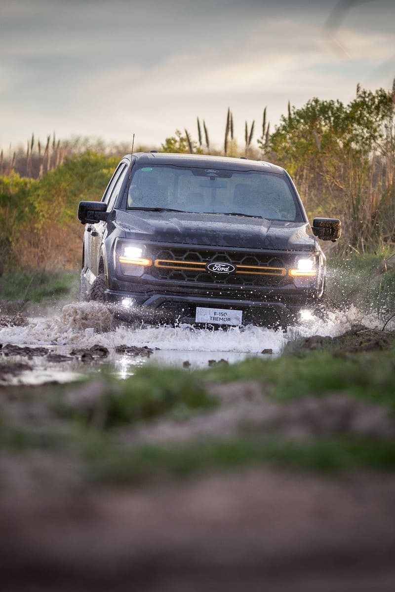 2025 - FORD F-150 TREMOR, foto 7