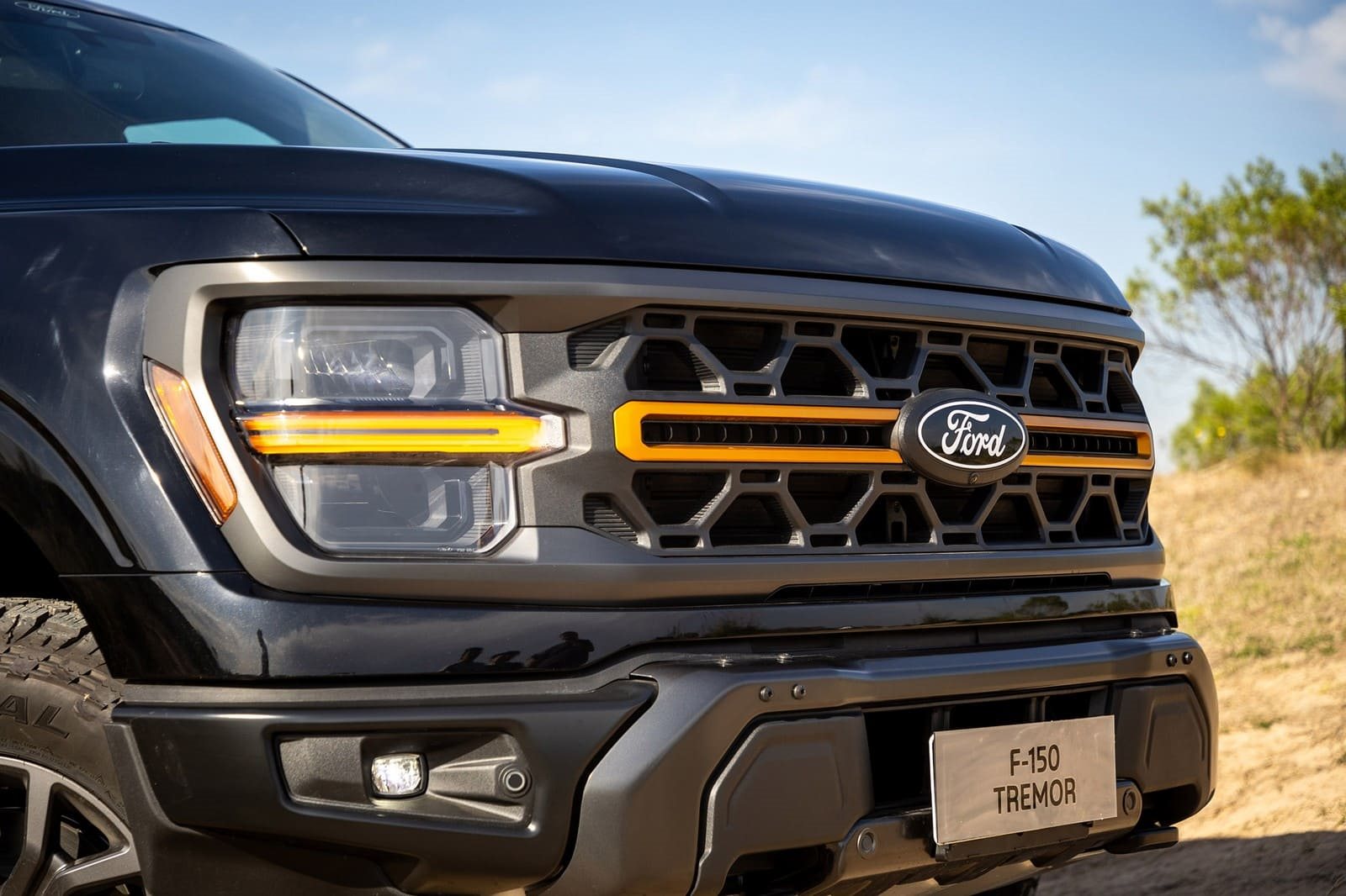 2025 - FORD F-150 TREMOR, foto 8