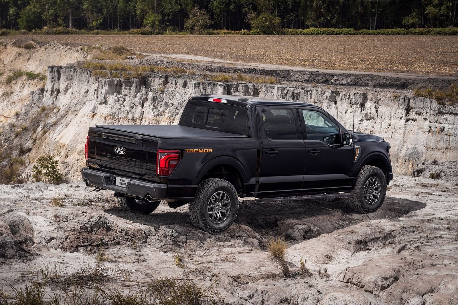 2025 - FORD F-150 TREMOR, foto 10