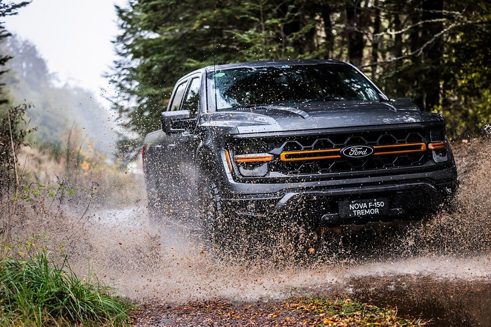 2025 - FORD F-150 TREMOR, foto 11