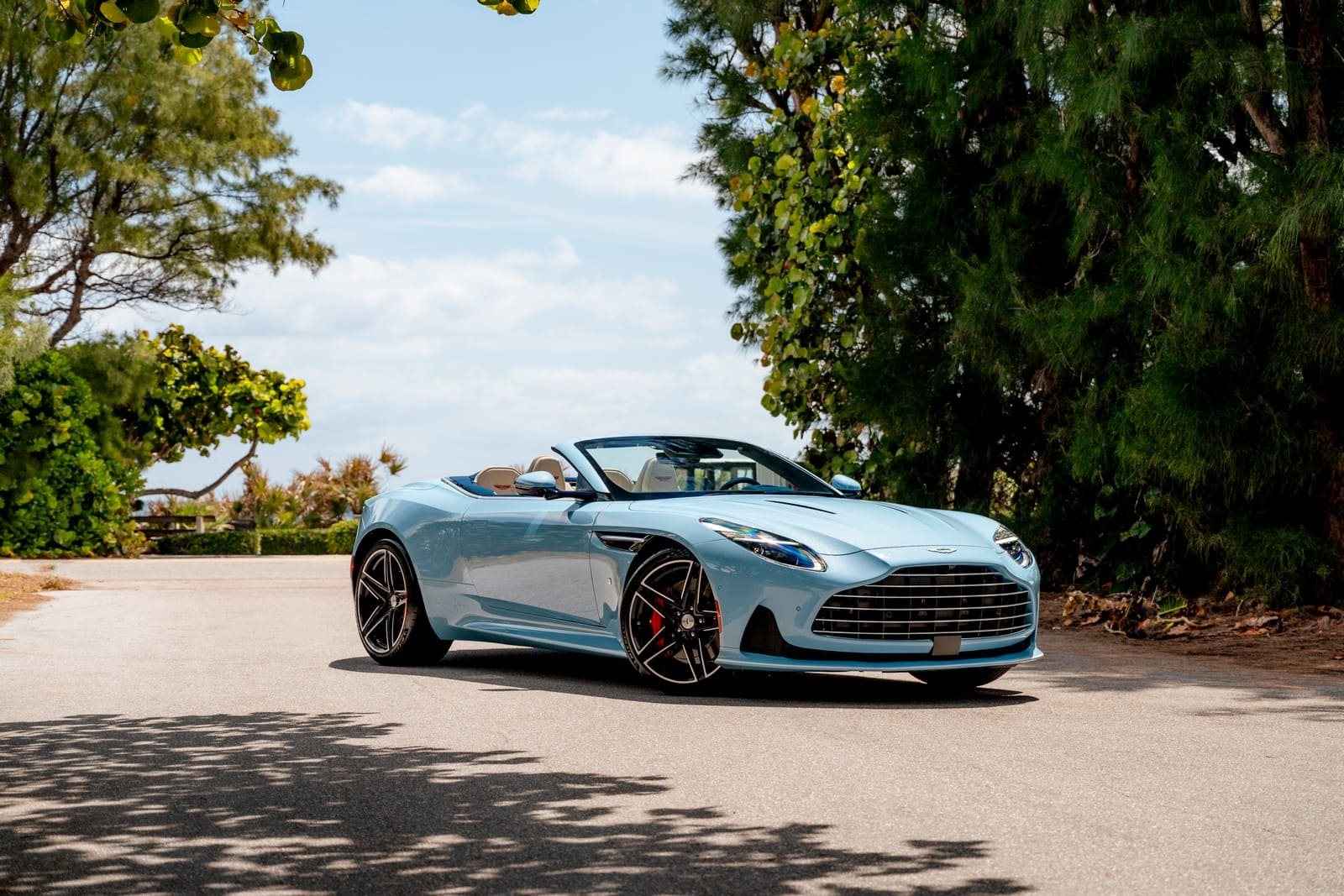 ASTON MARTIN DB12 VOLANTE PALM BEACH EDITION, foto 14