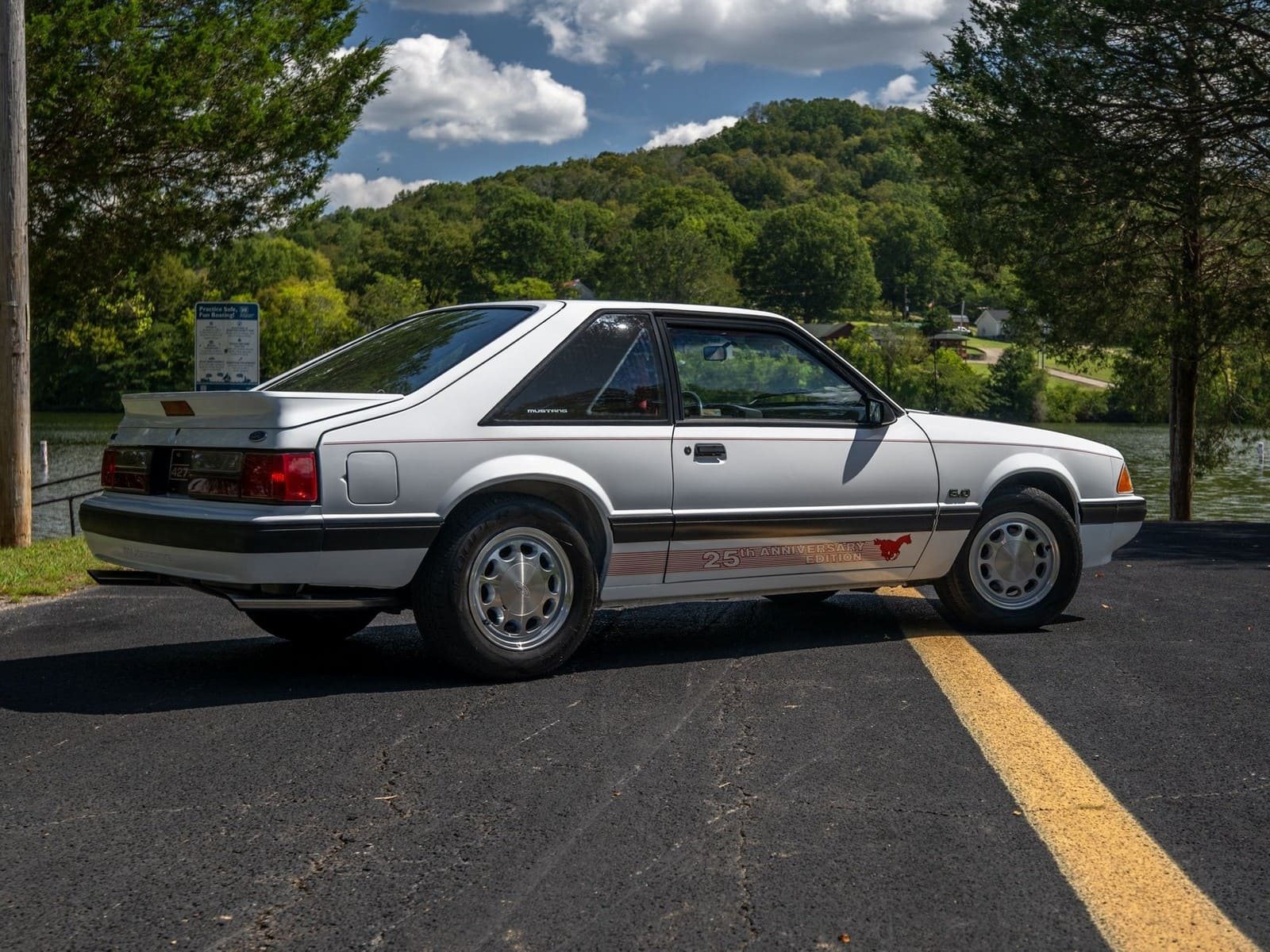 FORD MUSTANG 25TH ANNIVERSARY EDITION, foto 12